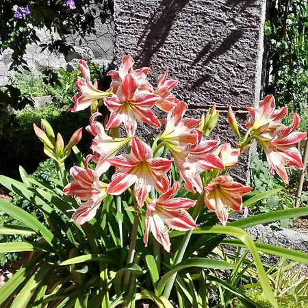 Holiday home Da Giulietta Adrano