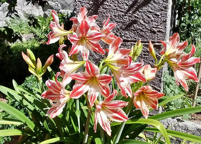 Holiday home Da Giulietta Adrano